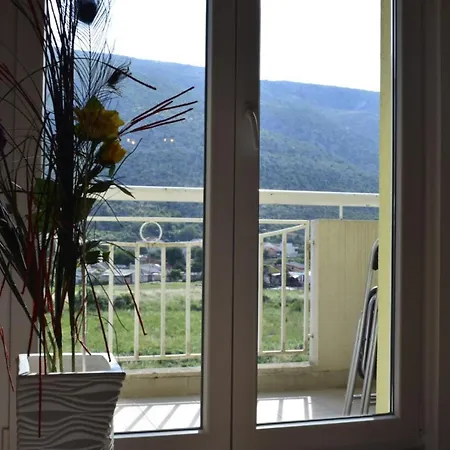 Cherine * מוסטר